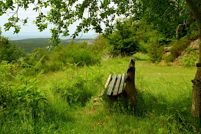 都非常适合 都非常适合