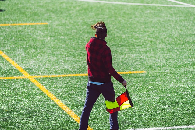 这两位巨星 这两位巨星