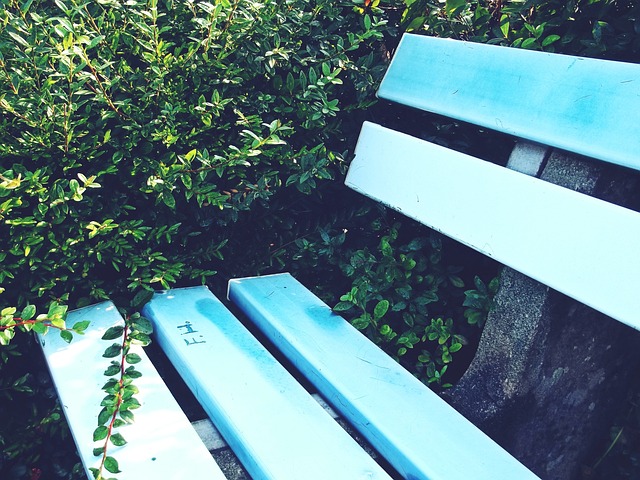 为高薪问题 为高薪问题