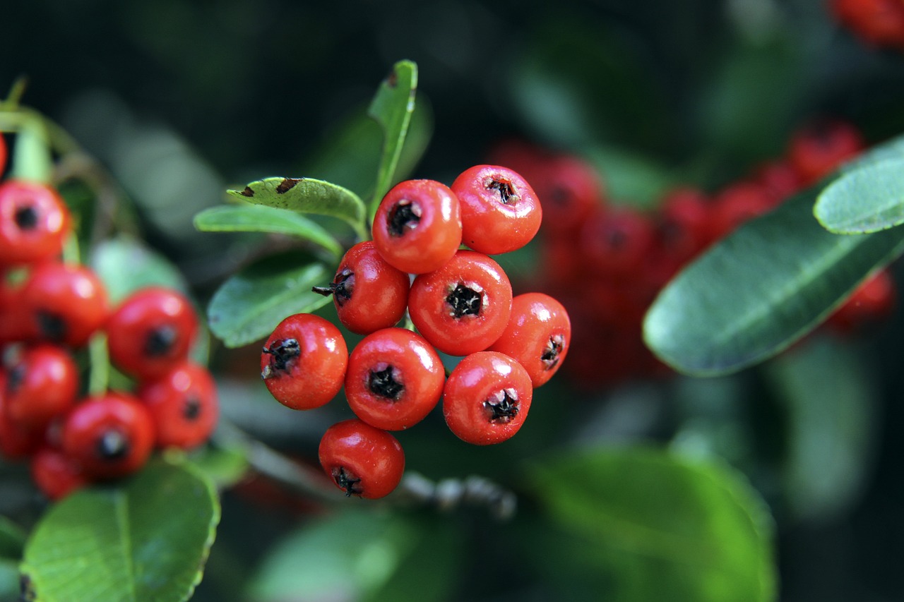 速度和突破 速度和突破