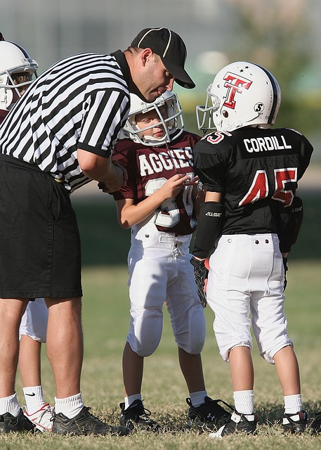 辅助角色 辅助角色